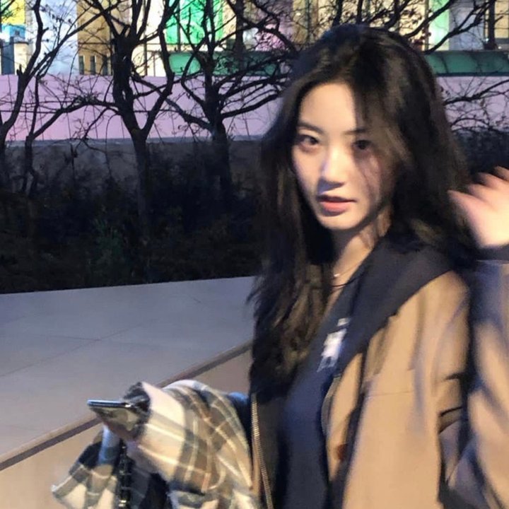 维奥莱特·诺齐埃尔